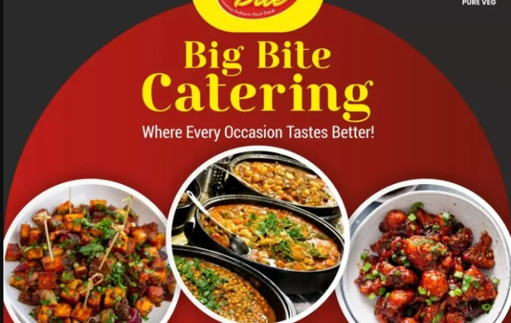 Big Bite Indian Street Food Kingswood