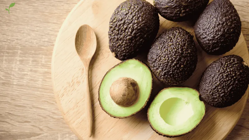 The Alligator Pear: Unveiling the Remarkable Health Benefits of Avocados
